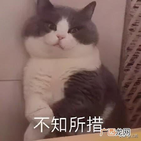 非洲保护区靠什么盈利 去非洲创业群