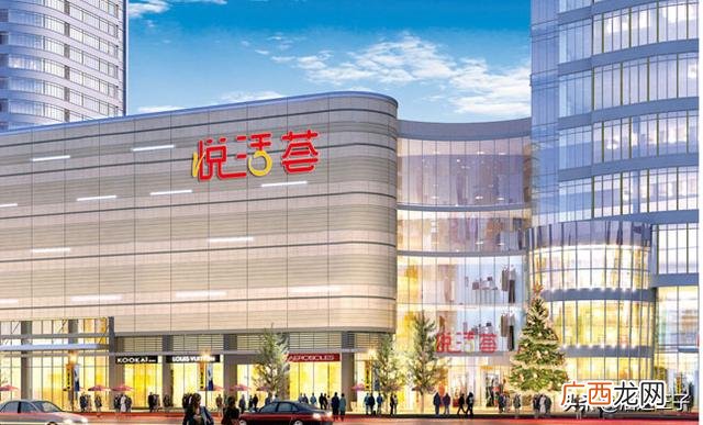 重庆大型购物中心排行 重庆连锁便利店有哪些