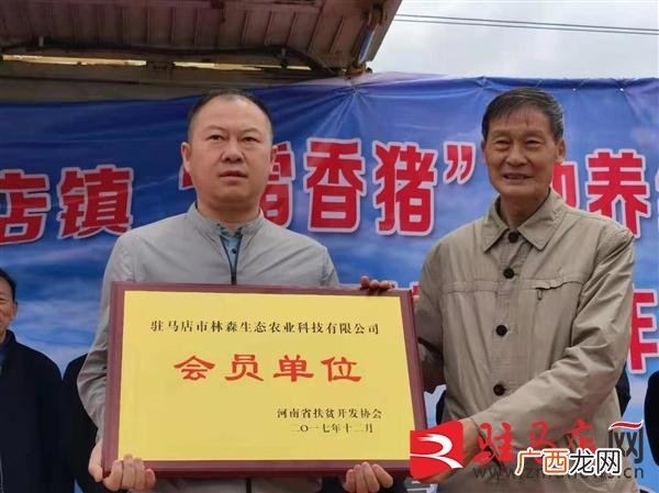 香猪养殖 生态黑猪养殖成功案例