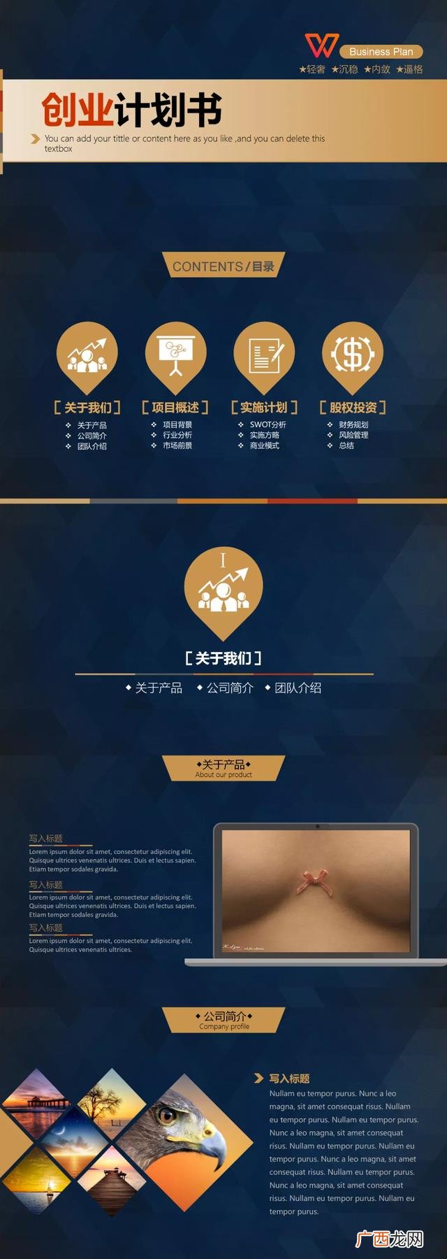 项目运营方案及未来收益报告,专业撰写商业计划书