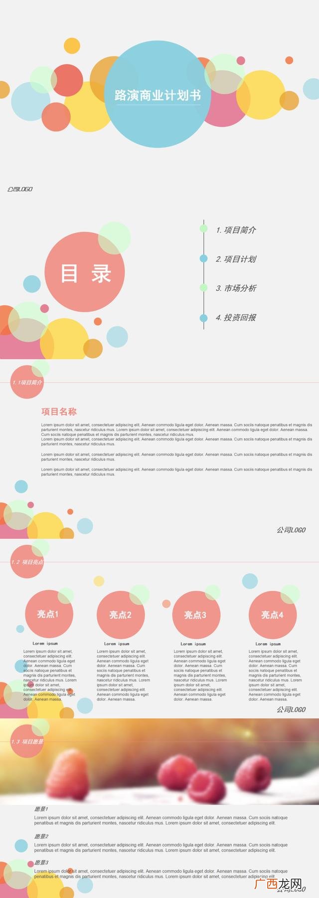 项目运营方案及未来收益报告,专业撰写商业计划书
