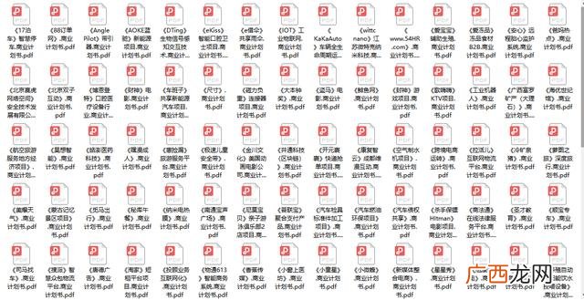 项目运营方案及未来收益报告,专业撰写商业计划书