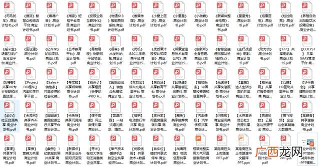 项目运营方案及未来收益报告,专业撰写商业计划书