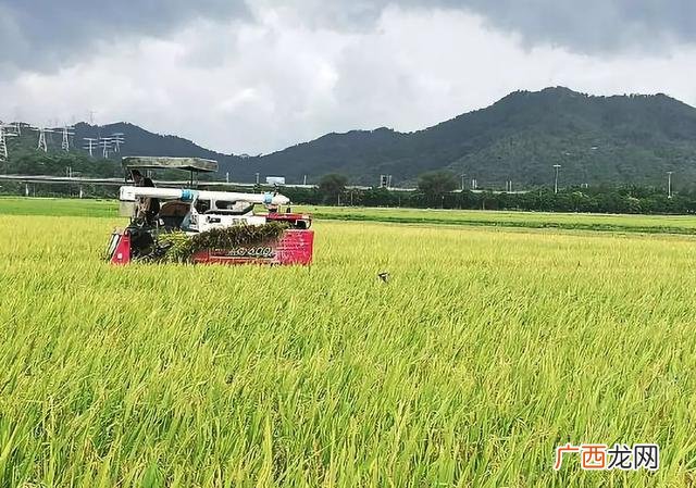广州最美民宿 广州民宿客栈