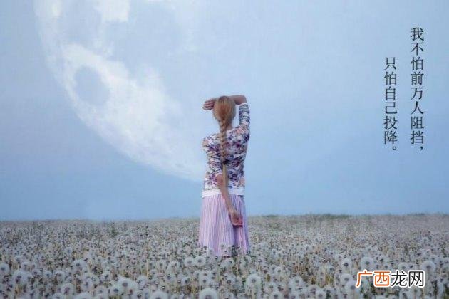 项目管理师报考条件 软考高级信息系统项目管理师报考条件