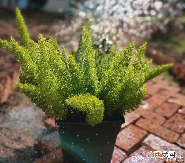 真好话app下载入口 花花贷款app下载