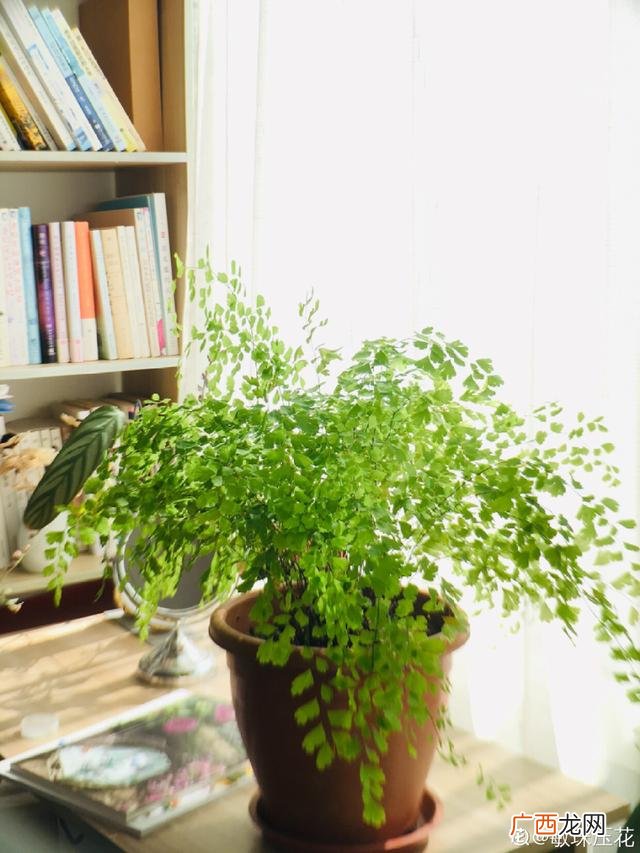 真好话app下载入口 花花贷款app下载