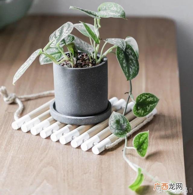 真好话app下载入口 花花贷款app下载