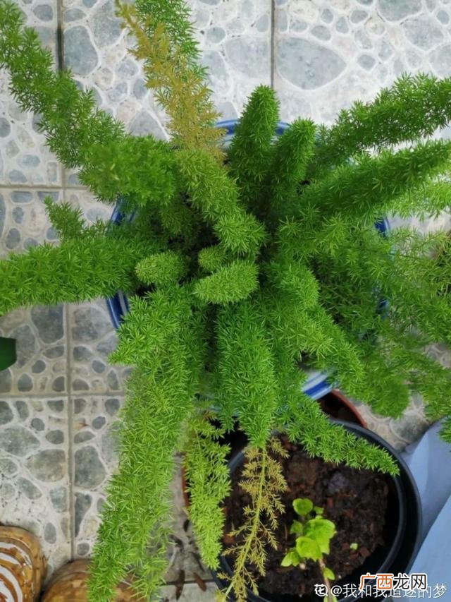 真好话app下载入口 花花贷款app下载