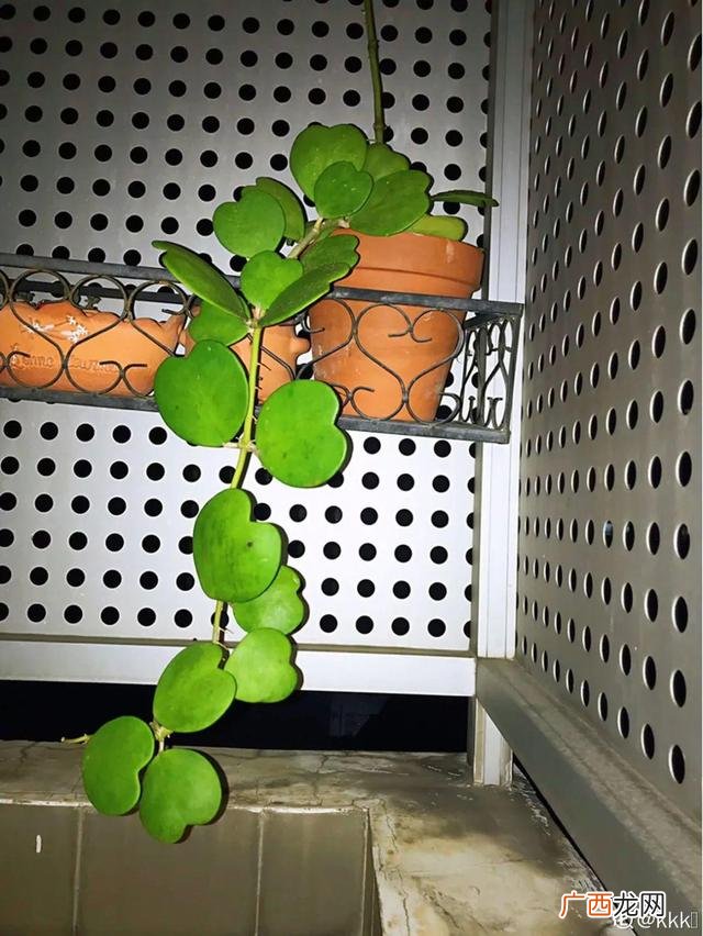 真好话app下载入口 花花贷款app下载