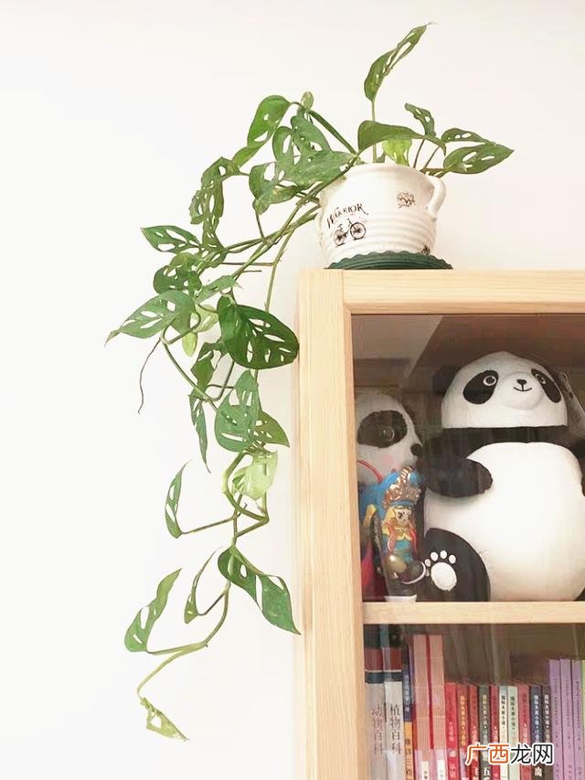 真好话app下载入口 花花贷款app下载