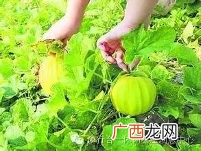 儿童游乐园创业 长沙创业乐园地址