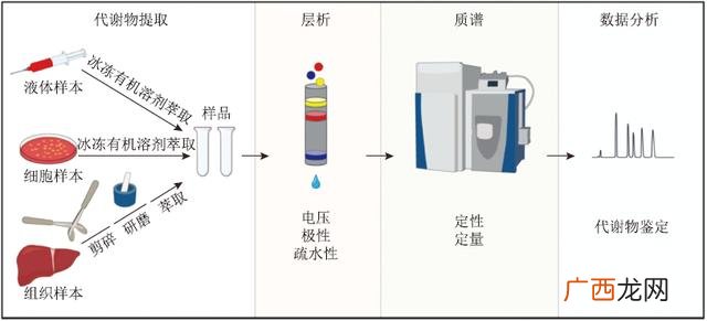 医学科研项目有哪些 大学生科研项目有哪些