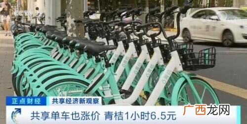 共享项目的商业机会 共享加盟项目产品有哪些
