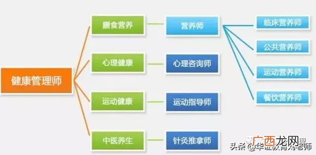 营养师报考条件2021最新规定,项目管理师pmp报考条件