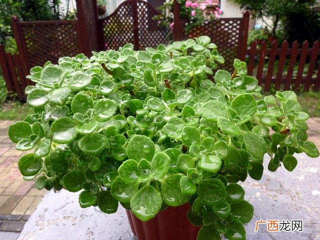 塑料袋生产设备全套要多少钱,小型全自动制香机价格是多少