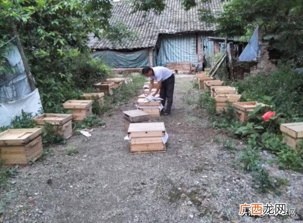 十大暴利养殖 2020挣钱的行业渠道