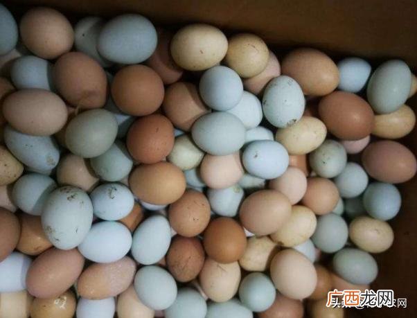 十大暴利养殖 2020挣钱的行业渠道