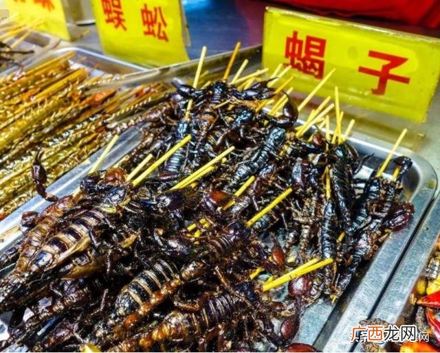 十大暴利养殖 2020挣钱的行业渠道