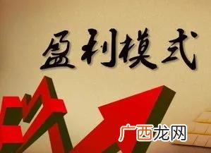企业盈利模式有哪些,项目盈利分析的主要内容