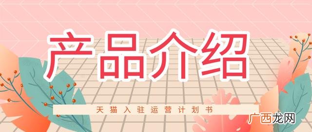电商创业计划书范文 网店创业计划书ppt模板