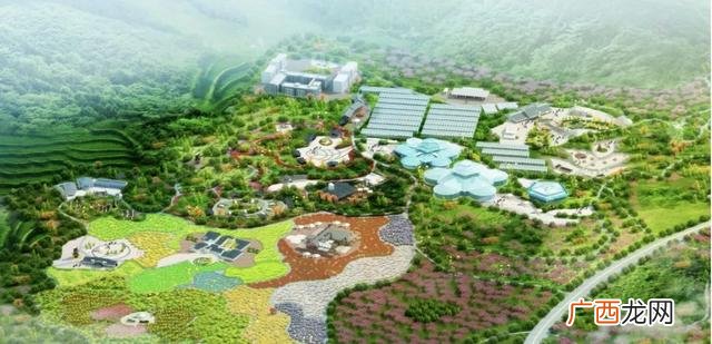 农业项目可行性分析,农业项目可行性报告范文