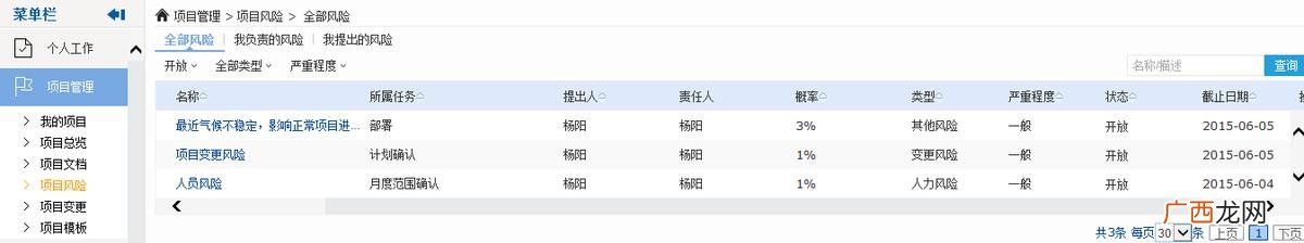 产品风险管理计划 项目风险管理表 模板