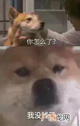 零投资一天赚1000,不想打工想自己创业不知道做什么好