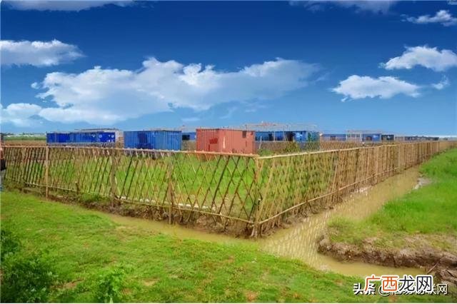 小型家庭农场计划书怎么写,创业计划书模板免费