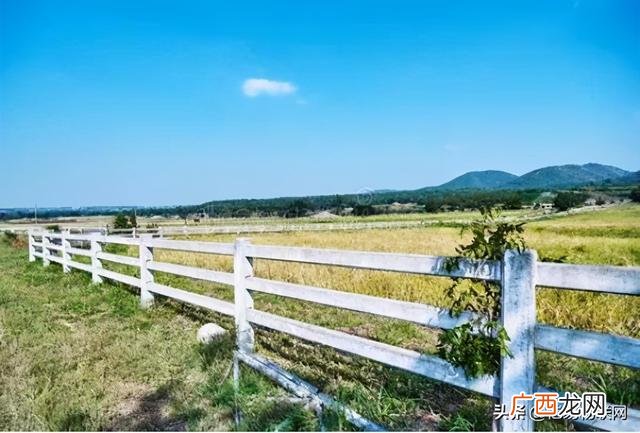 小型家庭农场计划书怎么写,创业计划书模板免费