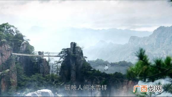 西北人比东北人强悍吗 西北狼创业