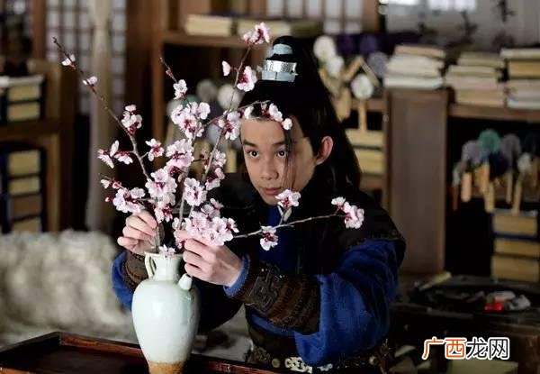 西北人比东北人强悍吗 西北狼创业