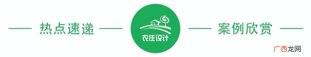适合农村创业的项目 阳台菜园创业计划书范文