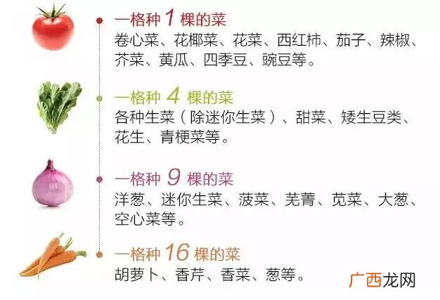 适合农村创业的项目 阳台菜园创业计划书范文