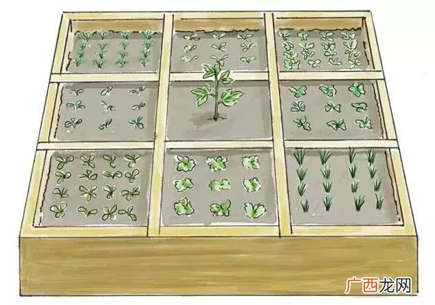 适合农村创业的项目 阳台菜园创业计划书范文