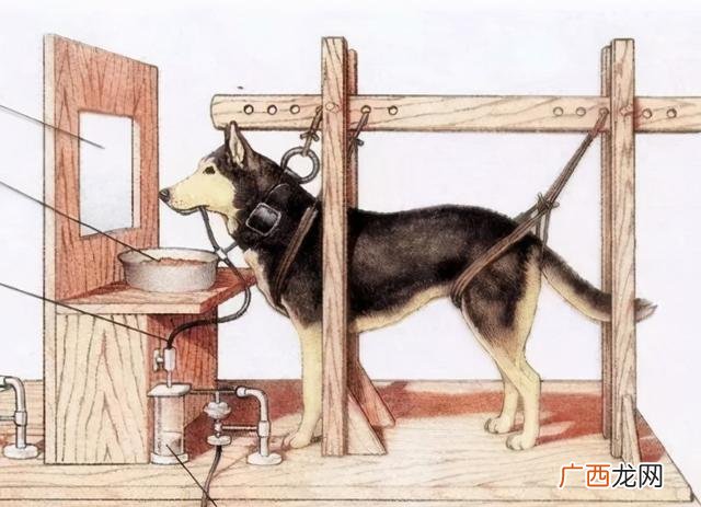 老白穿越火线生化模式 老白创业记第一集