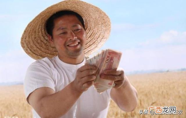 什么种植业见效快赚钱,目前农村种植什么最好赚钱
