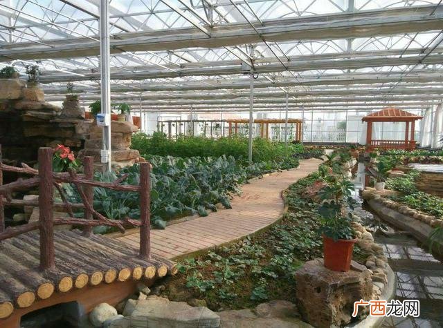 40个种植骗局 4亩大棚一年能挣多少钱智能大棚