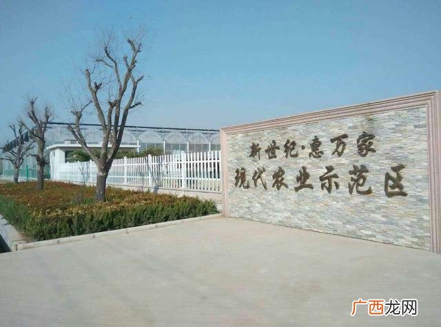 40个种植骗局 4亩大棚一年能挣多少钱智能大棚