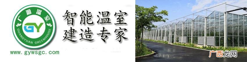 40个种植骗局 4亩大棚一年能挣多少钱智能大棚
