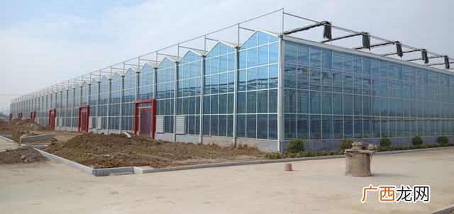 40个种植骗局 4亩大棚一年能挣多少钱智能大棚