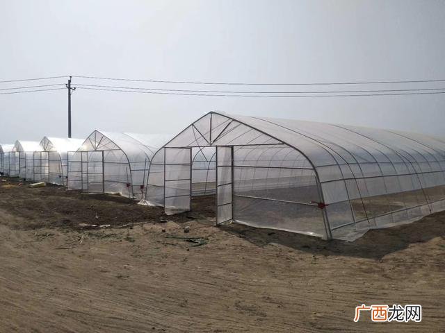 40个种植骗局 4亩大棚一年能挣多少钱智能大棚