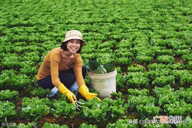 评价融资计划书模板,商业计划书与融资计划书可行性分析报告