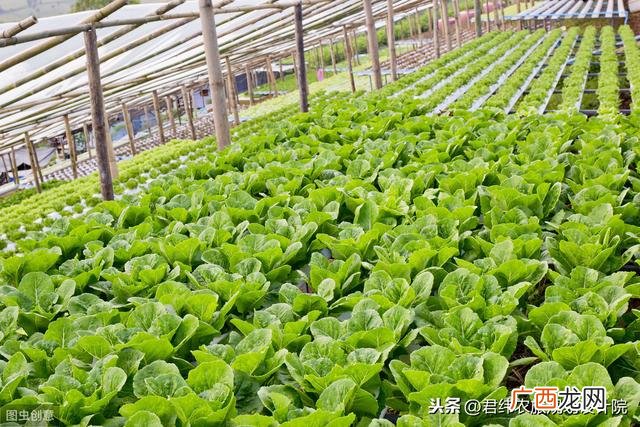 评价融资计划书模板,商业计划书与融资计划书可行性分析报告