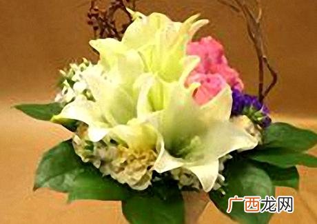 花店经营方案,创业构思怎么写花店