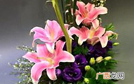 花店经营方案,创业构思怎么写花店