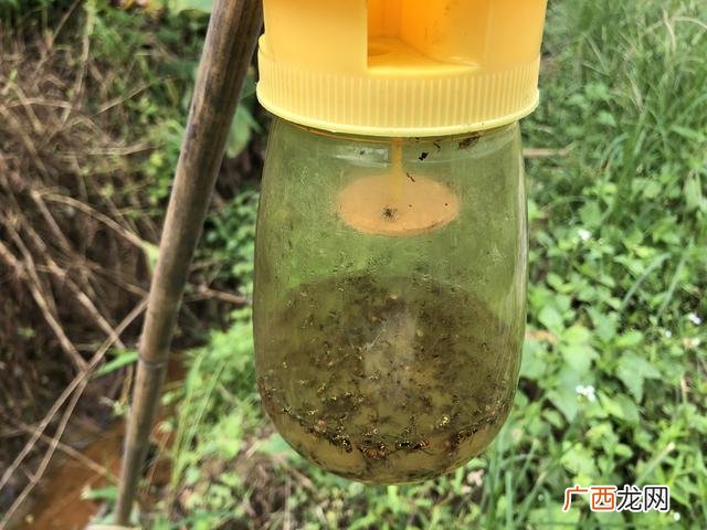 有机蔬菜创业计划书范文 蔬菜创业计划书 大学生版