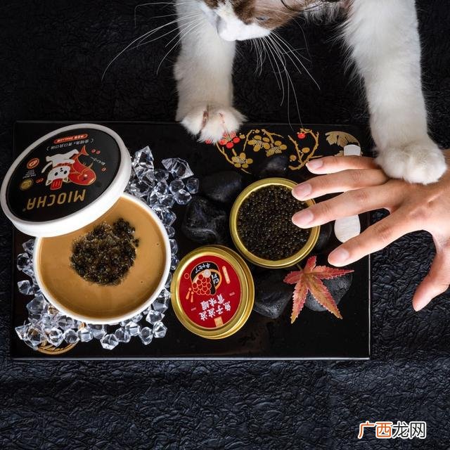 开淘宝店算是创业吗 加盟算创业吗