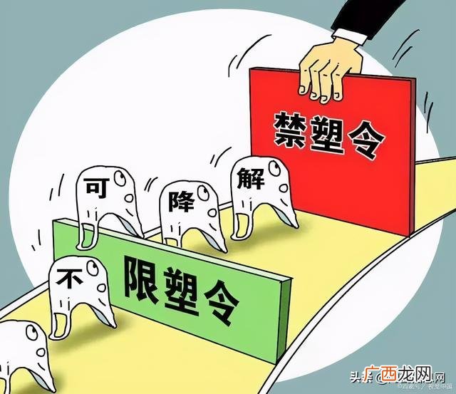 2021年啥项目挣钱,2021年做什么项目赚钱