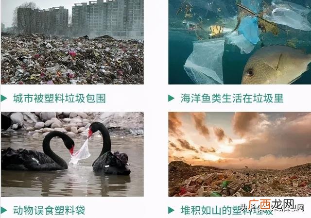 2021年啥项目挣钱,2021年做什么项目赚钱